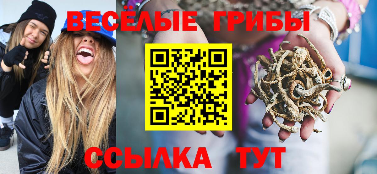 Галлюциногенные грибы Magic Shrooms Клин