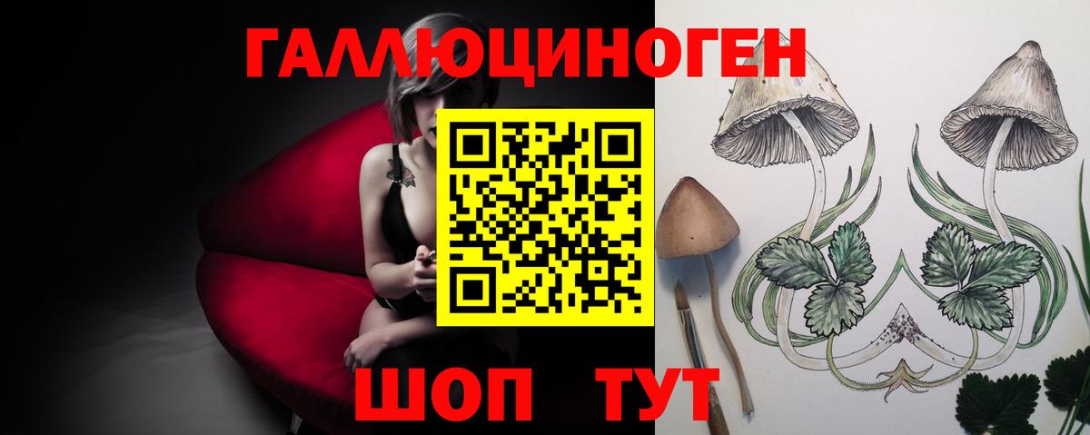 Псилоцибиновые грибы MAGIC MUSHROOMS  Вход с VPN  Клин  Псилоцибиновые грибы Cubensis 